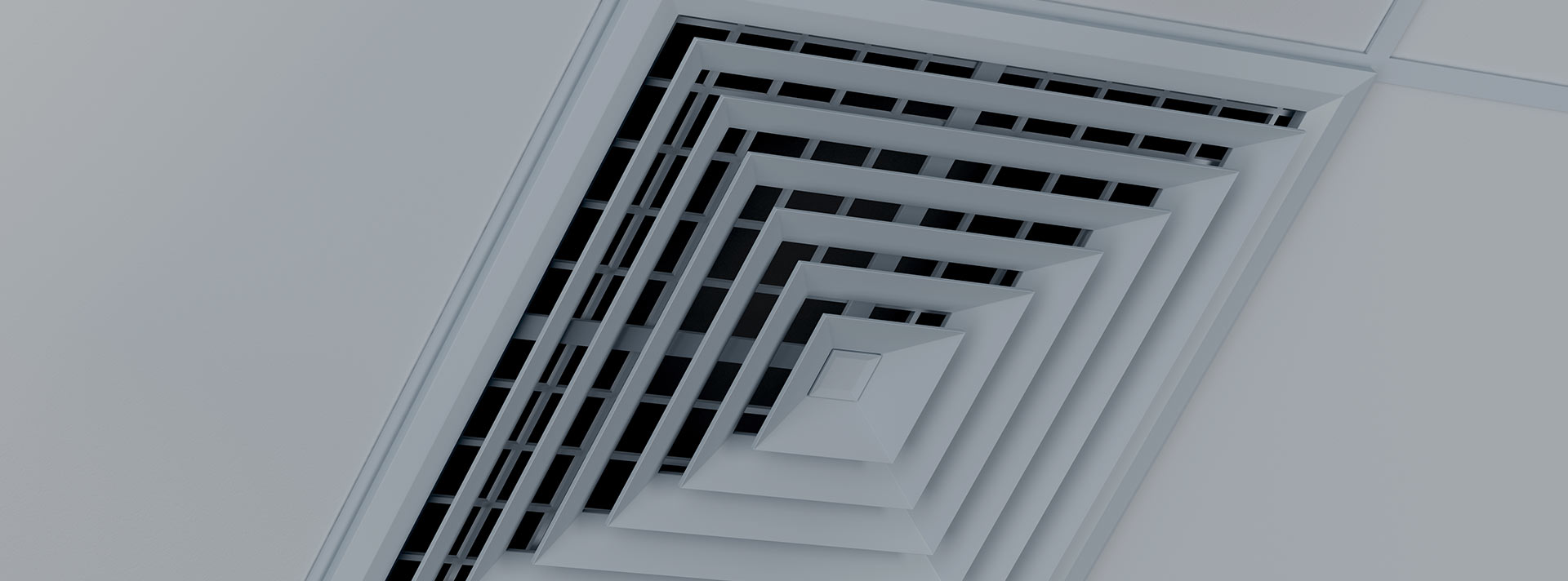 ̹